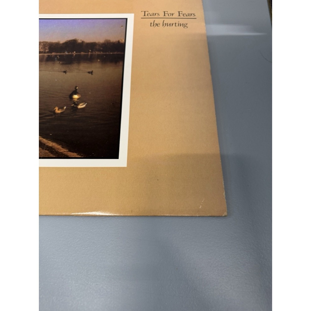 Tears For Fears: The Hurting - Vinyl - 1983 Mercury 422 811 039-1 M-1 - Picture 4 of 16